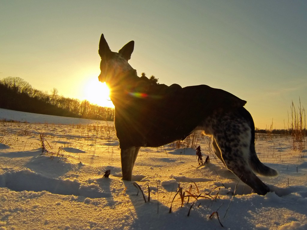 Sun starting to set around 4pm in january, so early!