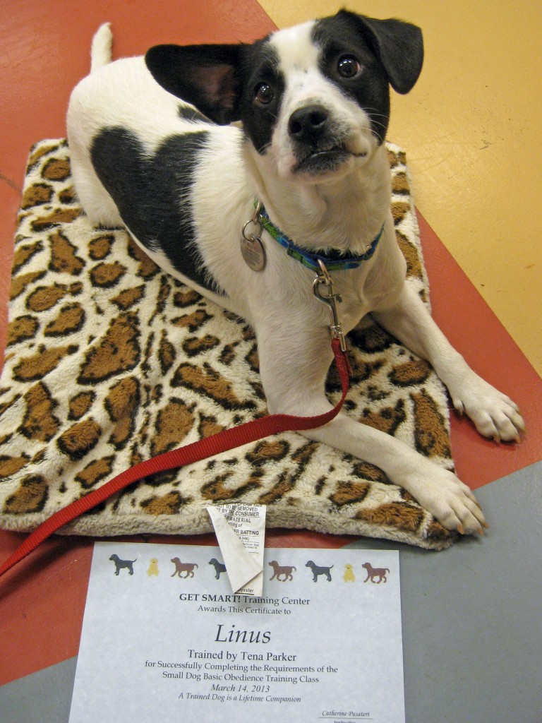 Linus and his diploma!