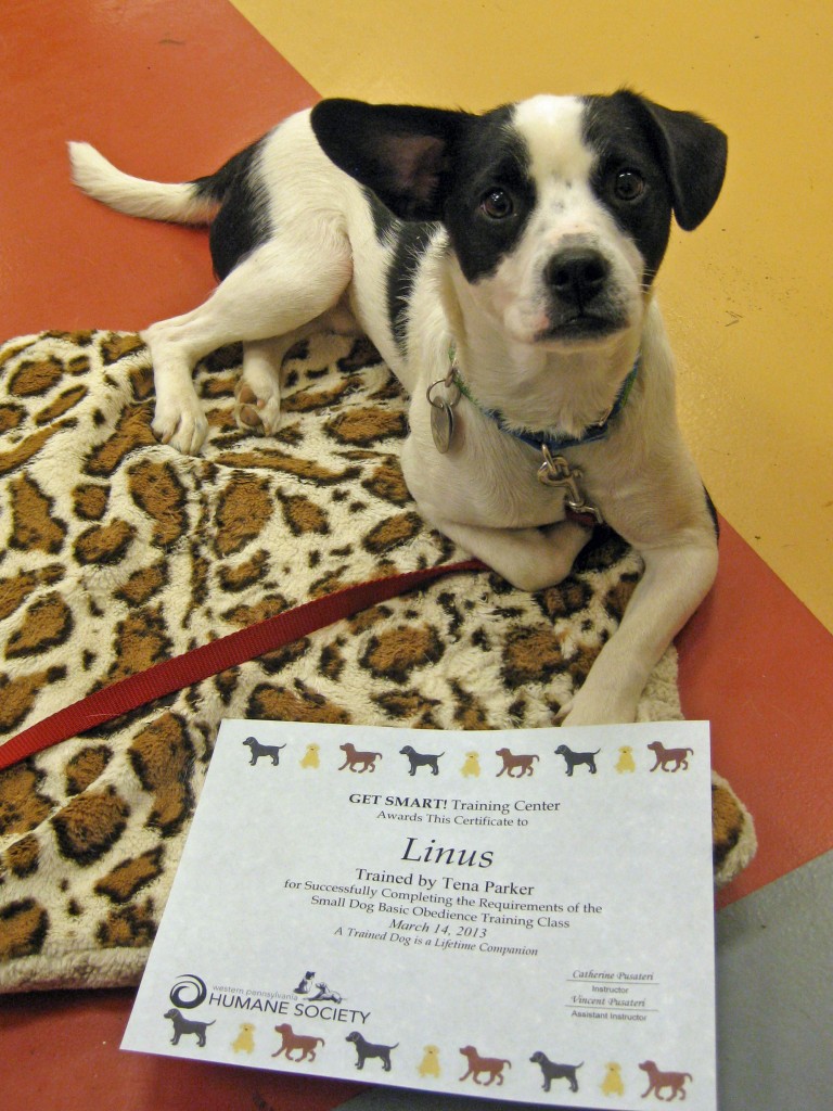 Cutie pants Linus with his hard earned diploma!