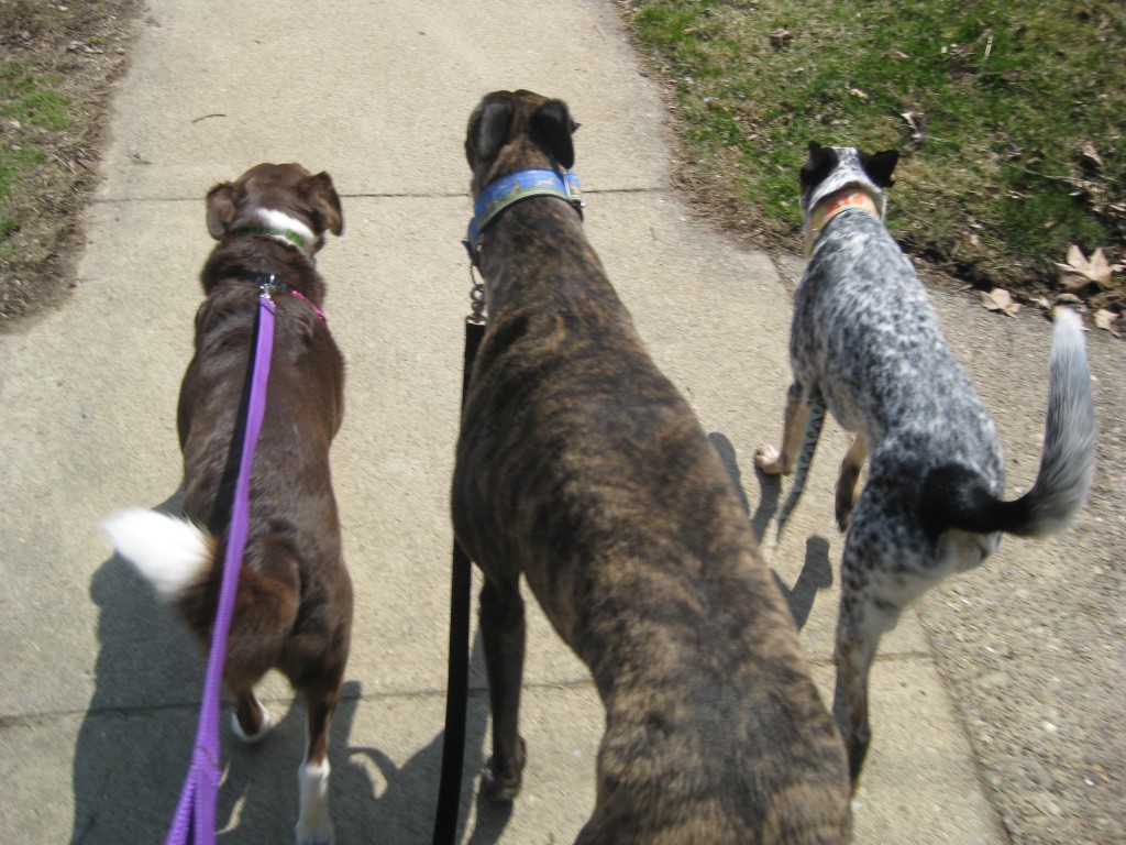 Cute group of three starting our walk