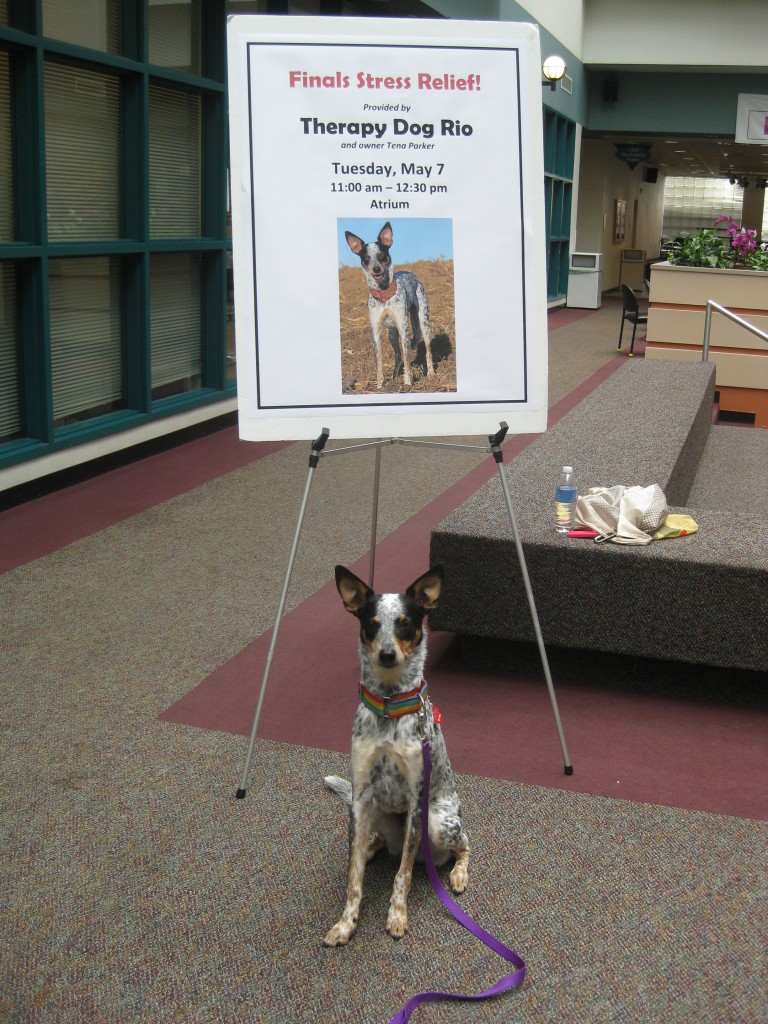 Rio posing under his huge poster!