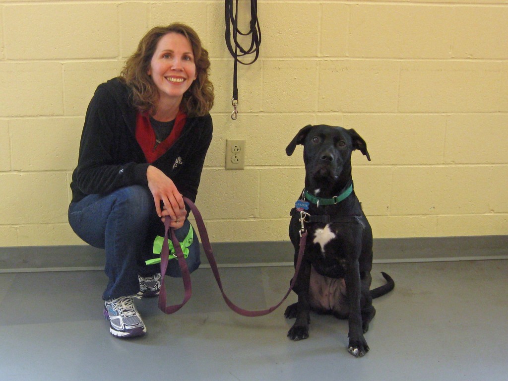 Lainie B.A. with her handler Kimm!  I wish I had a better photo, Lainie never looks this serious about anything, ever.