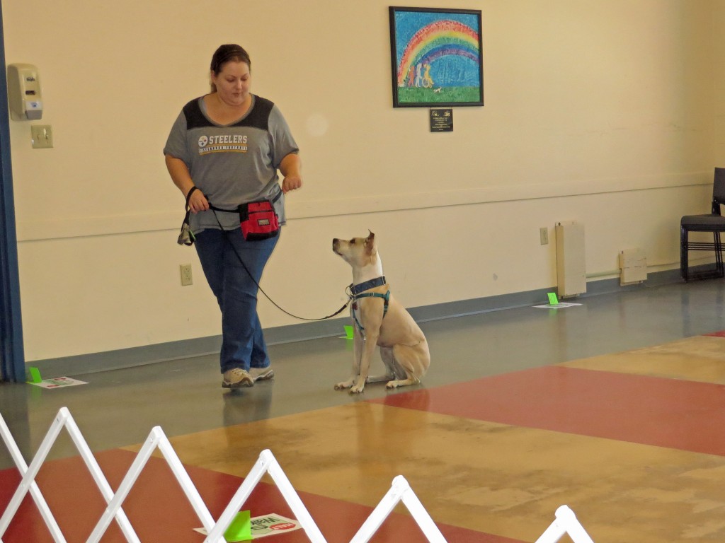 Gracie watches as her mom figures out the right footwork for a pivot :)