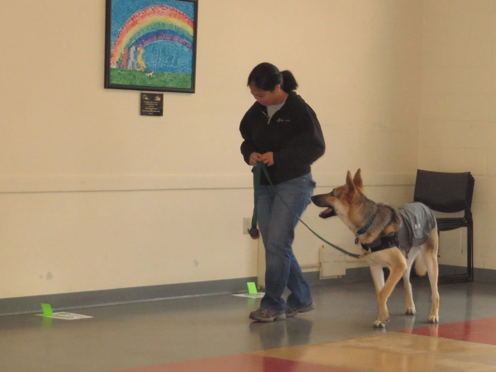 Greyson watching his mom very closely as she reads a sign just as closely :)