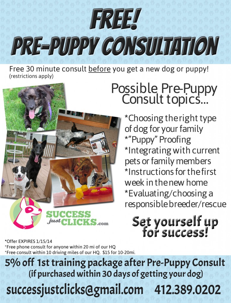 Pittsburgh Free Puppy Consultation