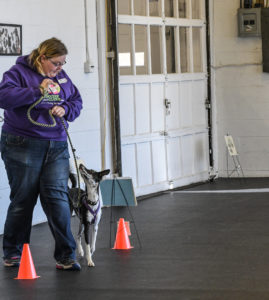 Oswin working hard on a serpentine on her last run of the trial, her 210 score.