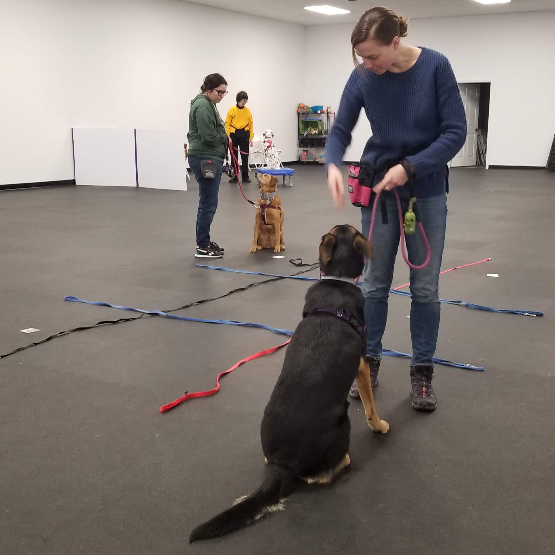 Success Just Clicks Dog Training Center in Pittsburgh